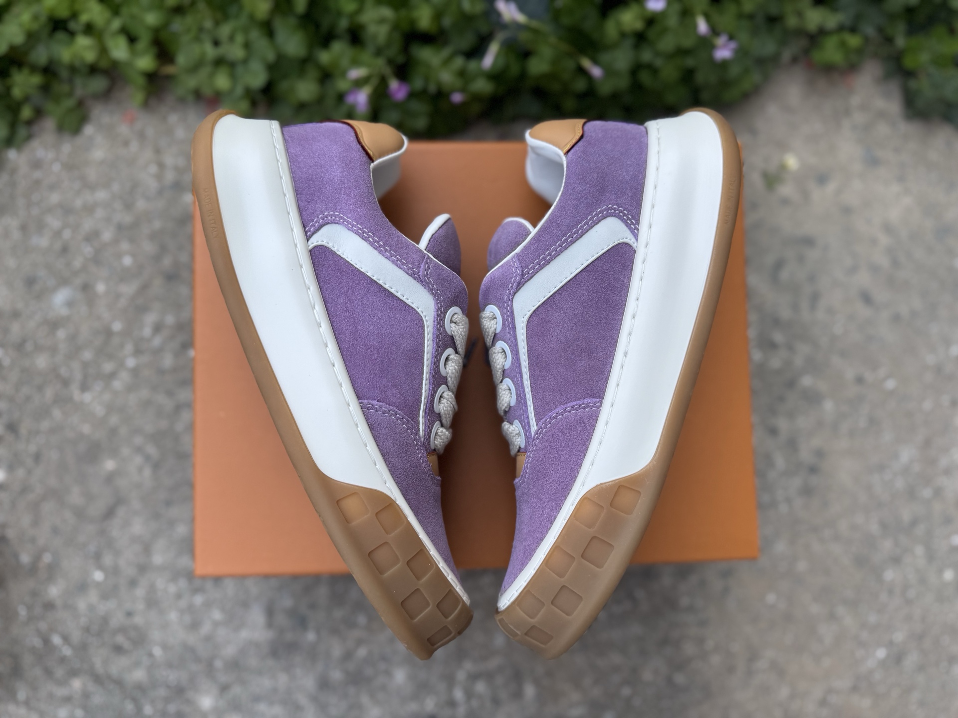 Nike Jordan shoe